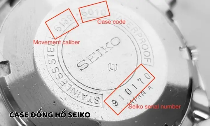 Case Size Đồng Hồ Là Gì? Hướng Dẫn Chọn Kích Thước Vỏ Phù Hợp