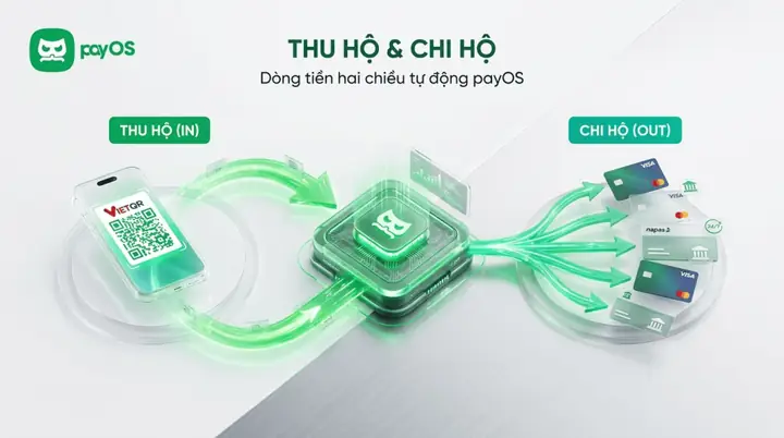 Cash Disbursement Là Gì? Định Nghĩa, Quy Trình Và Các Yếu Tố Cần Biết