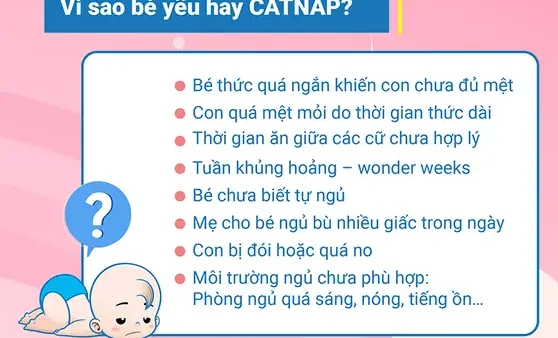 Catnap Trẻ Sơ Sinh Là Gì? Nguyên Nhân, Dấu Hiệu Và Cách Xử Lý Hiệu Quả