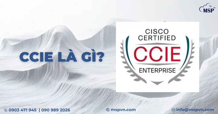 CCIE Là Gì? Tất Tần Tật Về Chứng Chỉ Cisco Đỉnh Cao Và Các Nhánh Chuyên Môn