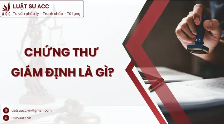 Chứng Thư Giám Định (certificate Of Inspection) Là Gì? Ý Nghĩa Và Thủ Tục Cần Biết