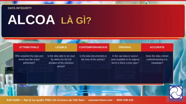 Certified Copy Là Gì? Phân Biệt Với Bản Sao Thông Thường Và Ý Nghĩa Pháp Lý
