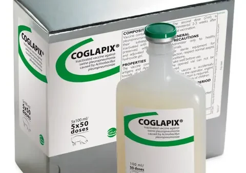 Ceva Là Gì? Khám Phá Định Lý Ceva Và Ý Nghĩa Thực Tế