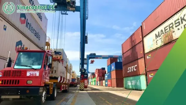 CFS Warehouse Là Gì? Khám Phá Vai Trò Quan Trọng Trong Logistics Xuất Nhập Khẩu