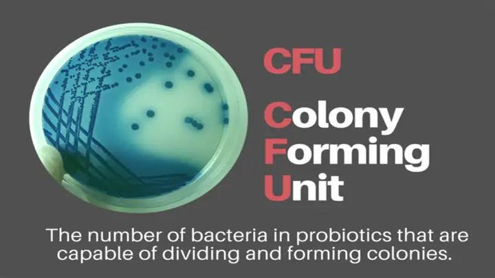 Cfu/ml Là Gì? Ý Nghĩa, Cách Tính Và Ứng Dụng Trong Kiểm Nghiệm Vi Sinh Cfu/ml Là Gì? Ý Nghĩa, Cách Tính Và Ứng Dụng Trong Kiểm Nghiệm Vi Sinh