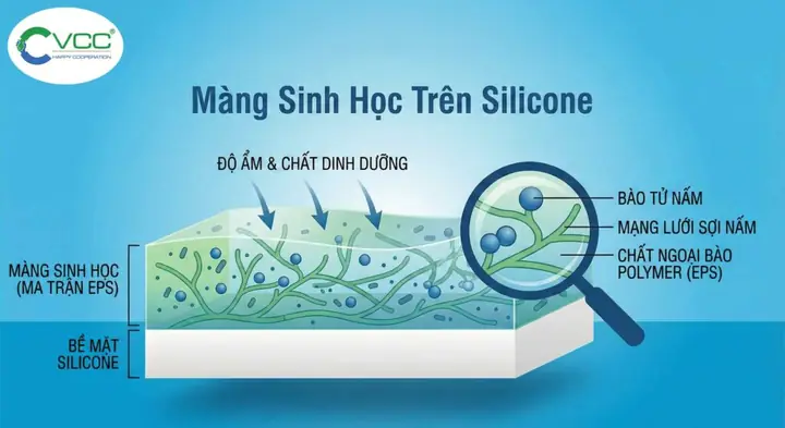 Cha Bề Trên Là Ai? Vai Trò Và Ý Nghĩa Trong Giáo Hội