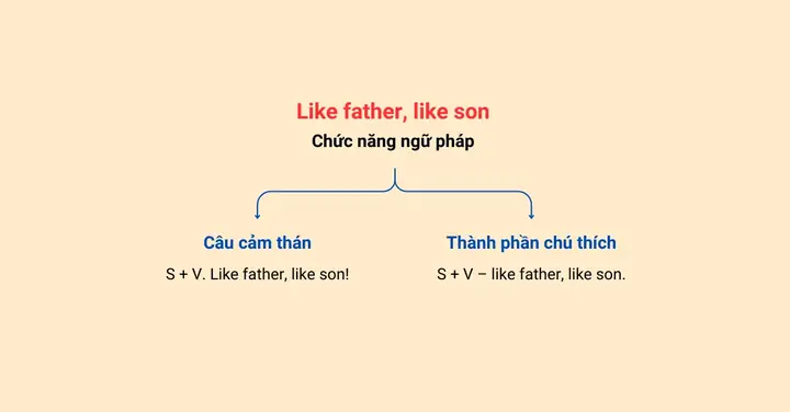 Cha Nào Con Nấy Là Gì? Ý Nghĩa, Nguồn Gốc Và Ví Dụ Minh Họa
