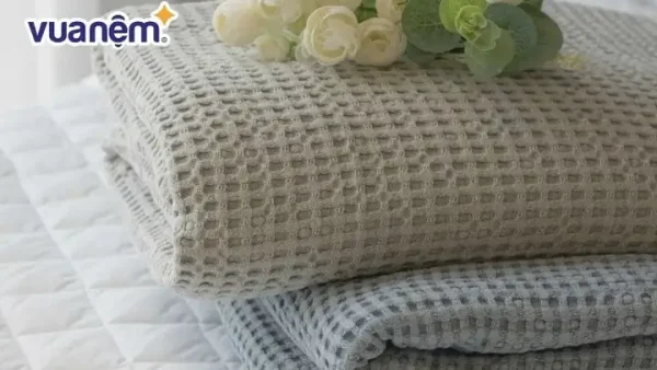 Chăn Ga Đũi Là Gì? Phân Loại, Đặc Điểm & Lưu Ý Khi Sử Dụng
