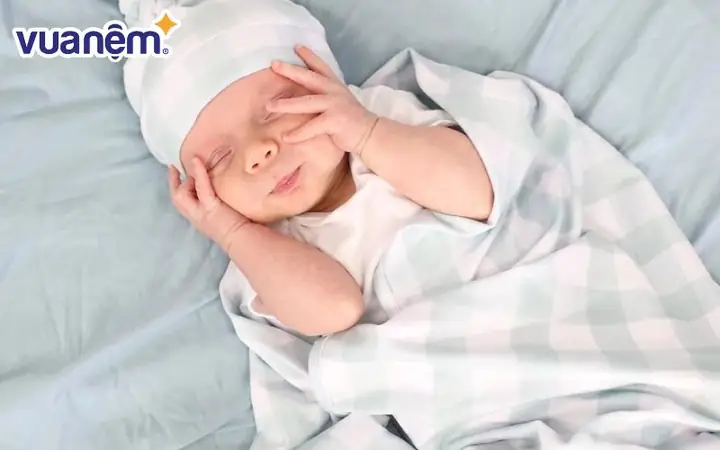 Chăn Ga Gối Đệm Gọi Chung Là Gì? Thuật Ngữ Cần Biết Và Phân Loại