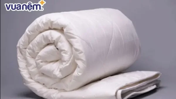 Chăn Phao Trần Bông Là Gì? Phân Loại, Đặc Điểm Và Cách Chọn Tốt Nhất