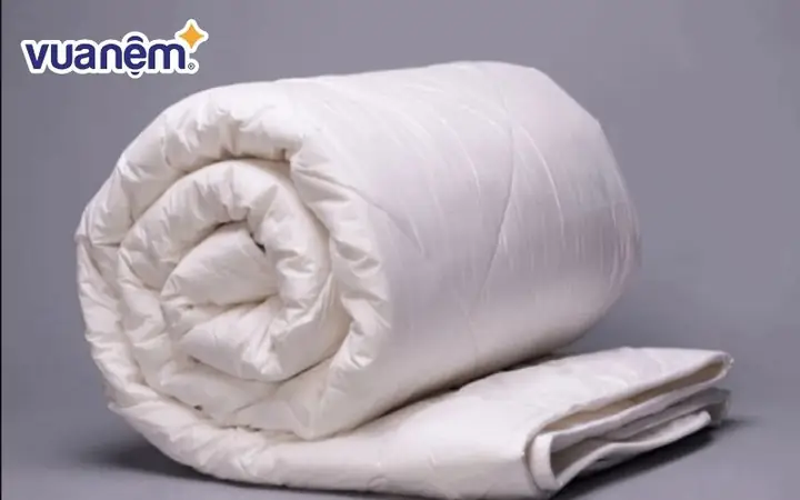 Chăn Phao Trần Bông Là Gì? Phân Loại, Đặc Điểm Và Cách Chọn Tốt Nhất
