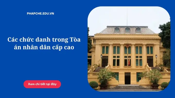 Chánh Án Tòa Án Là Gì? Nhiệm Vụ, Quyền Hạn Và Phân Biệt Với Các Chức Danh Khác Chánh Án Tòa Án Là Gì? Nhiệm Vụ, Quyền Hạn Và Phân Biệt Với Các Chức Danh Khác