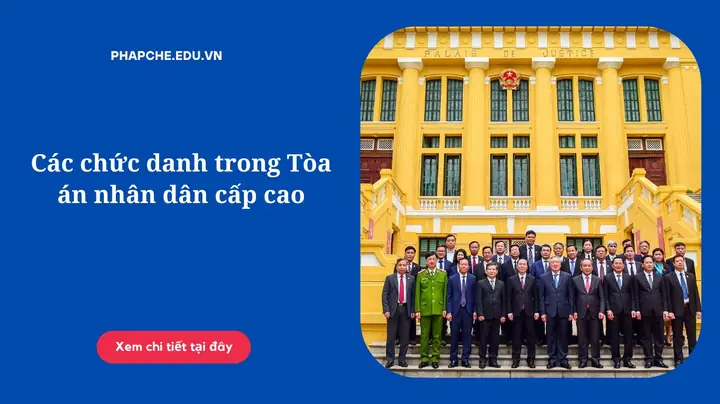 Chánh Án Tòa Án Là Gì? Nhiệm Vụ, Quyền Hạn Và Phân Biệt Với Các Chức Danh Khác Chánh Án Tòa Án Là Gì? Nhiệm Vụ, Quyền Hạn Và Phân Biệt Với Các Chức Danh Khác