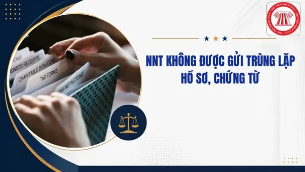 Charitably Là Gì? Định Nghĩa, Cách Dùng Và Ví Dụ Chi Tiết