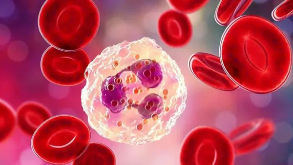 Chemotaxis Là Gì? Định Nghĩa, Cơ Chế Hoạt Động Và Ứng Dụng Trong Sinh Học