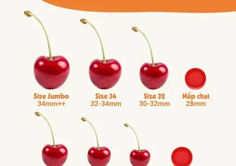 Cherry Size 9 Là Gì? Kích Thước Chuẩn Và Cách Chọn Size Cherry Ngon