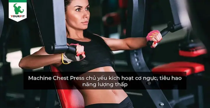 Máy Chest Press Là Gì? Hướng Dẫn Tập Đúng Cách & Lợi Ích Vượt Trội