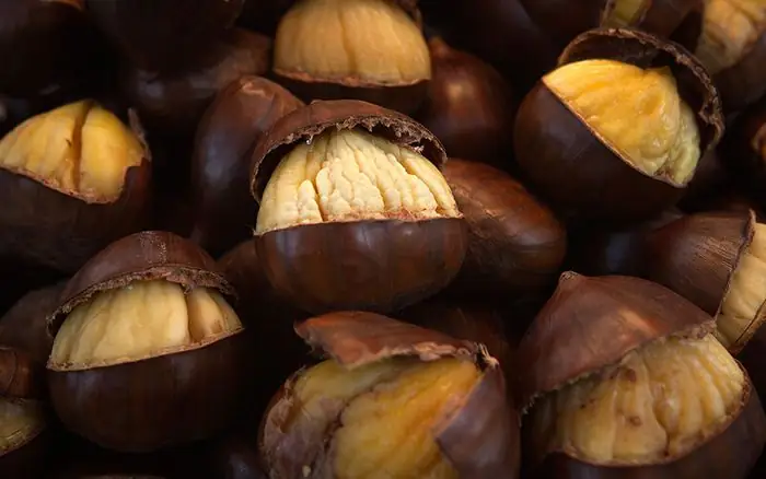 Chestnut Là Gì? Nguồn Gốc, Đặc Điểm Và Lợi Ích Sức Khỏe Không Thể Bỏ Qua