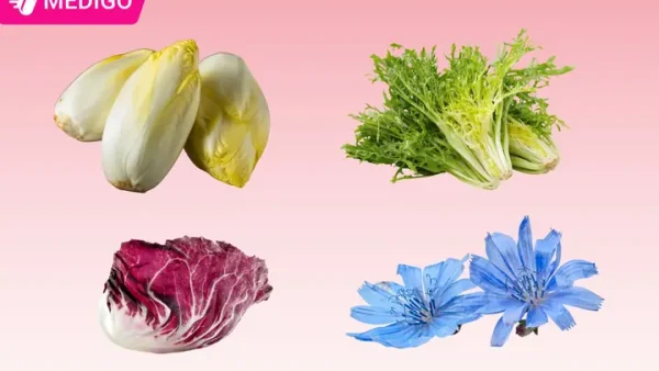 Chicory Là Gì? Tìm Hiểu Về Rau Diếp Xoăn, Cà Phê Chicory Và Lợi Ích Sức Khỏe