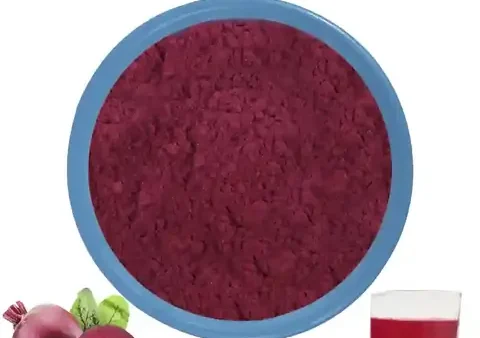 Chicory Root Là Gì? Công Dụng, Lợi Ích Và Cách Sử Dụng