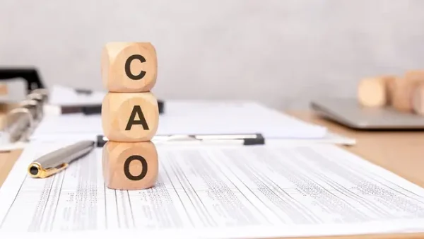 Chief Administrative Officer (CAO) Là Gì? Nhiệm Vụ, Vai Trò & Yêu Cầu