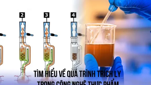 Chiết Ly Là Gì? Khám Phá Các Ứng Dụng Trong May Mặc, Rèm Cửa & Công Nghệ Thực Phẩm