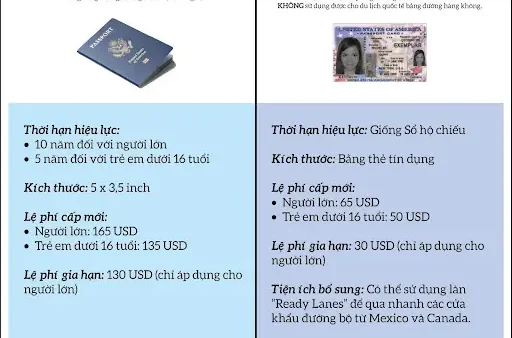 Chiếu Hoa Là Gì? Nguồn Gốc, Ý Nghĩa Và Cách Nhận Biết