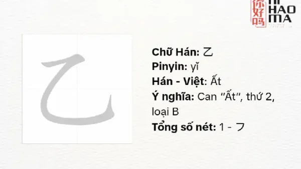 Chinese Mandarin Là Gì? Phân Biệt Với Tiếng Trung & Các Phương Ngữ Khác