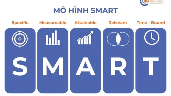 Chính Sách Marketing Là Gì? Định Nghĩa, Vai Trò Và Cách Xây Dựng Hiệu Quả
