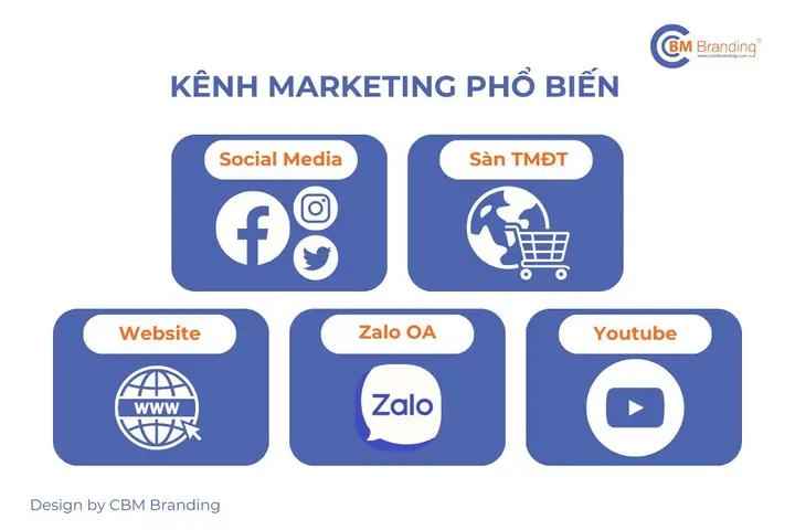 Chính Sách Marketing Là Gì? Định Nghĩa, Vai Trò Và Cách Xây Dựng Hiệu Quả