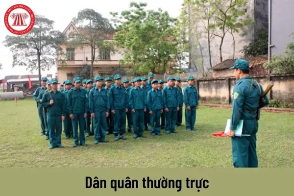 Chính Trị Viên Đại Đội Là Gì? Vai Trò, Nhiệm Vụ Và Cấp Bậc