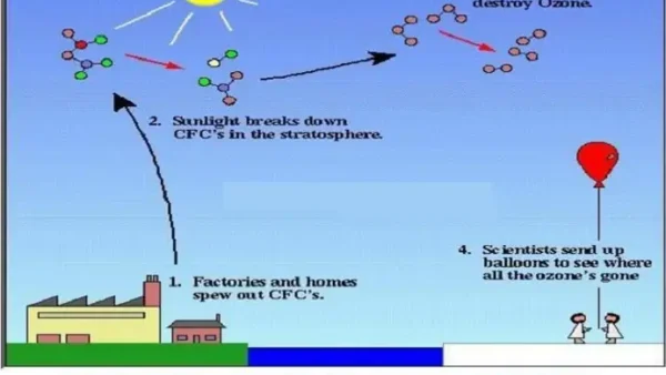 Chlorofluorocarbon (CFC) Là Gì? Tác Hại Và Ảnh Hưởng Đến Tầng Ozon