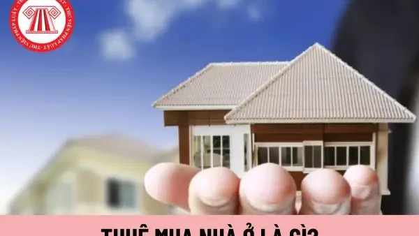 Thuê Mua Bất Động Sản Là Gì? Hướng Dẫn Chi Tiết Từ A-Z