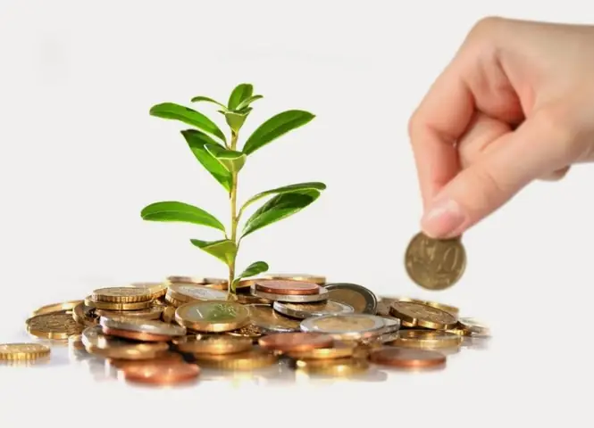 Cho Vay Ký Quỹ Là Gì? Hướng Dẫn Chi Tiết Từ A-Z Cho Nhà Đầu Tư Chứng Khoán