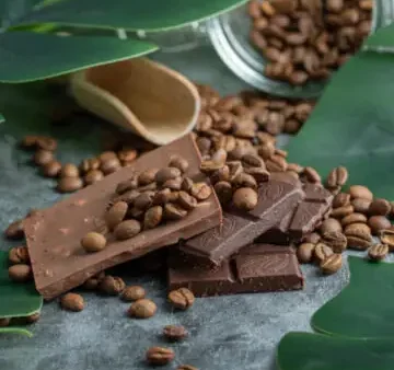 Chocolate Bar Là Gì? Định Nghĩa, Các Loại Và Cách Thưởng Thức Thanh Sô Cô La Ngon