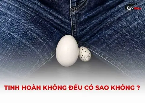 Chơi Kiểu Chó Là Gì? Hướng Dẫn Chi Tiết Tư Thế Doggy Từ A-Z