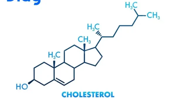 Cholesterol Este Là Gì? Phân Biệt Với Cholesterol Tự Do Và Các Dạng Khác