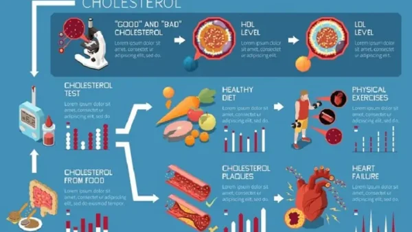 Cholesterol Và Triglycerides: Phân Biệt, Vai Trò Và Ý Nghĩa Sức Khỏe