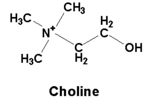 Choline Chloride Là Gì? Công Dụng, Vai Trò Và Cách Bổ Sung Hiệu Quả