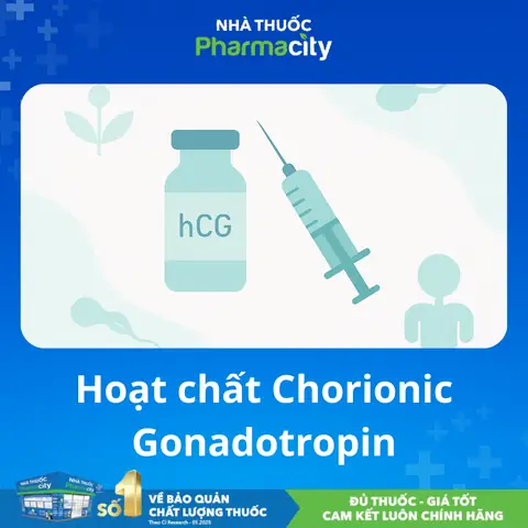 Chorionic Là Gì? Vai Trò, Công Dụng Và Ý Nghĩa Trong Y Học Sinh Sản