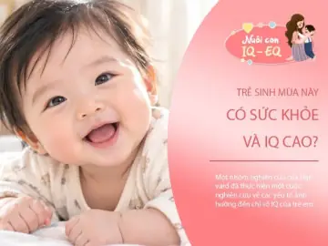 Chú Bé Chăn Cừu Là Gì? Ý Nghĩa Và Bài Học Sâu Sắc Từ Truyện Ngụ Ngôn
