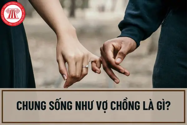 Chung Sống Như Vợ Chồng Là Gì? Quy Định Pháp Luật Và Giải Quyết Quyền Lợi