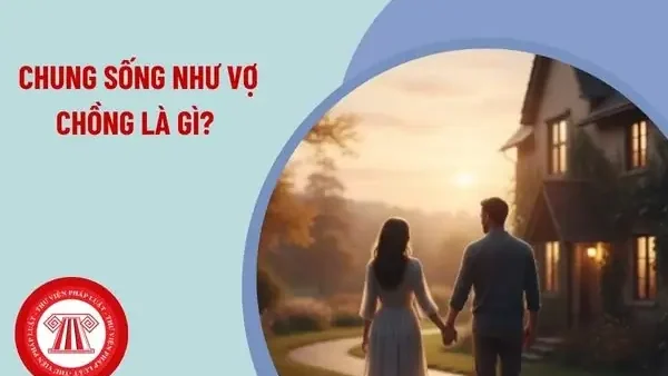 Chung Sống Như Vợ Chồng Là Gì? Quy Định Pháp Luật Và Giải Quyết Quyền Lợi