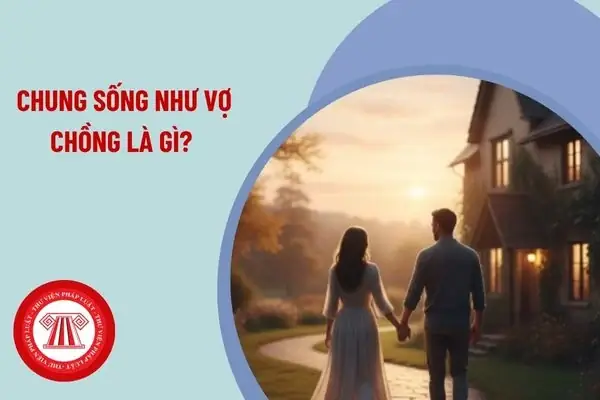 Chung Sống Như Vợ Chồng Là Gì? Quy Định Pháp Luật Và Giải Quyết Quyền Lợi