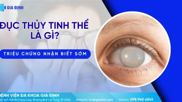 Chung Tình Là Gì? Ý Nghĩa, Cách Phân Biệt Với Trung Tình Và Các Khía Cạnh Liên Quan