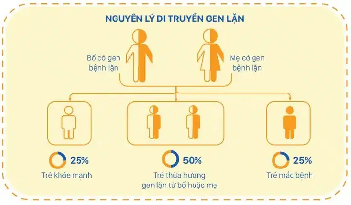 Chuông Lặn Là Gì? Lịch Sử, Cấu Tạo Và Ứng Dụng Thực Tế