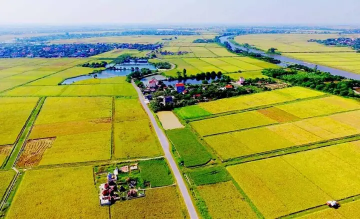 Chuyển Đổi Quyền Sử Dụng Đất Nông Nghiệp Là Gì? Điều Kiện & Thủ Tục Mới Nhất