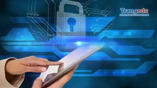 Chuyên Gia Bảo Mật Là Gì? Vai Trò, Nhiệm Vụ Và Lộ Trình Sự Nghiệp