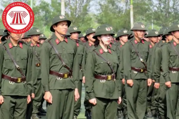 Chuyên Nghiệp Là Gì? Định Nghĩa, Dấu Hiệu Và Cách Xây Dựng Tác Phong Chuyên Nghiệp
