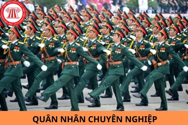 Chuyên Nghiệp Là Gì? Định Nghĩa, Dấu Hiệu Và Cách Xây Dựng Tác Phong Chuyên Nghiệp